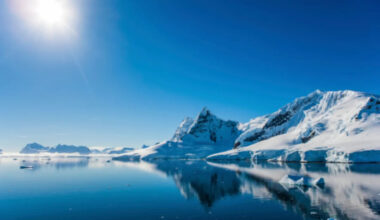 Ice lost on this continent more than 20 times the size of Toronto