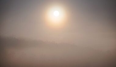 Could pollution be affecting our mental health?