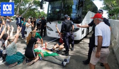 More Iranian soccer players decide to return home