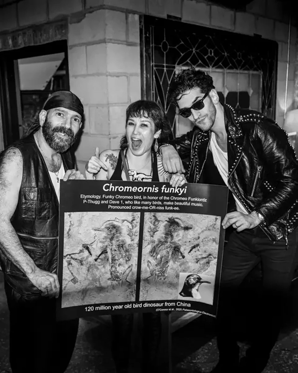 Chromeo member P-Thugg, paleontologist Jingmai O’Connor, and Chromeo member Dave 1, posing with a picture of Chromeornis funkyi (Jason Peterson)
