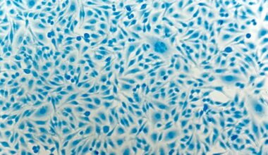 Cervical Cancer Risk in Women Living with HIV