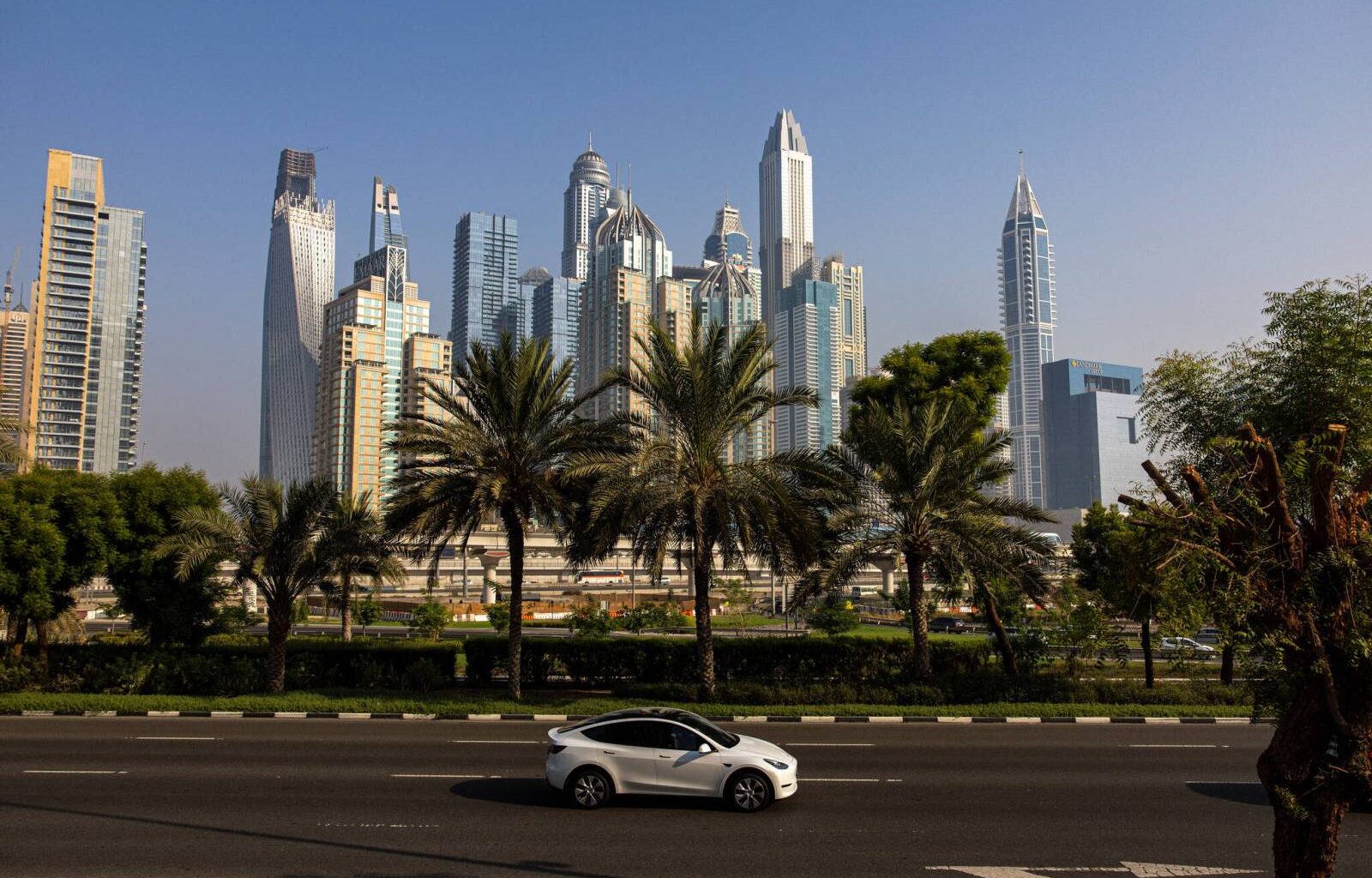 Taking the war in stride – Winnipeg Free Press