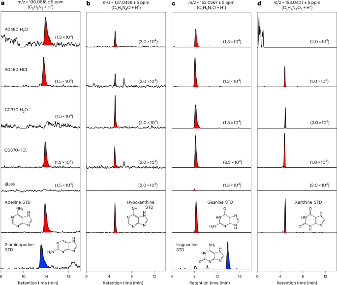 A complete set of canonical nucleobases in the carbonaceous asteroid (162173) Ryugu