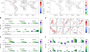 Human pressure and biodiversity modify forest resilience after extreme multi-year droughts
