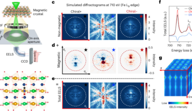 Magnetic circular dichroism imaging of atomic-scale antiferromagnetic order at a buried interface
