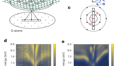 Direct observation of massless excitons and linear exciton dispersion