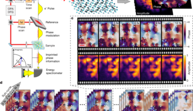 Superluminal correlations in ensembles of optical phase singularities