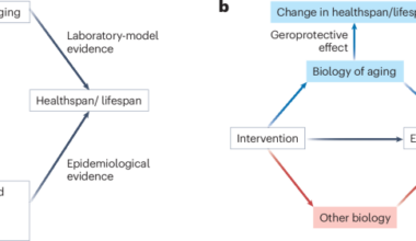 A daily multivitamin slows the ticking of epigenetic clocks - Nature