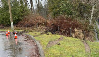 The result of a driver doing &ldquo;doughnuts&rdquo; in the cul-de-sac by Queen Elizabeth Meadows Park. (Contributed to Surrey Now-Leader)