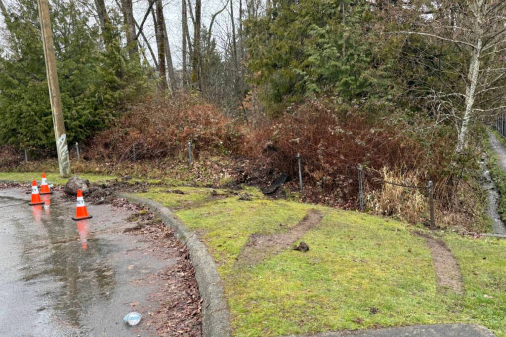 The result of a driver doing &ldquo;doughnuts&rdquo; in the cul-de-sac by Queen Elizabeth Meadows Park. (Contributed to Surrey Now-Leader)
