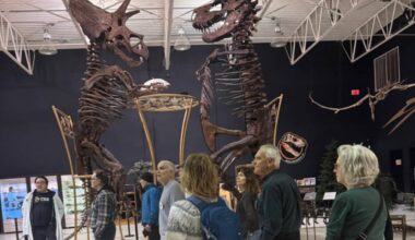 Team Pivot is a social and recreational program for Greater Victoria residents living with young onset dementia, who want to engage in physically active outings. (Courtesy Debra Sheets)