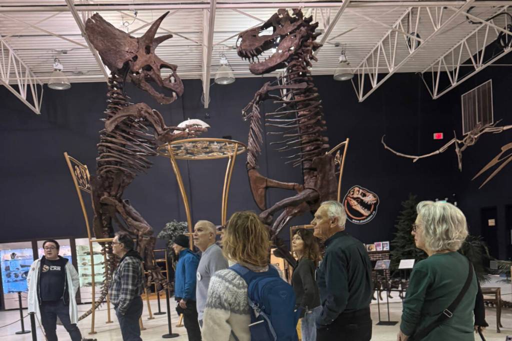 Team Pivot is a social and recreational program for Greater Victoria residents living with young onset dementia, who want to engage in physically active outings. (Courtesy Debra Sheets)