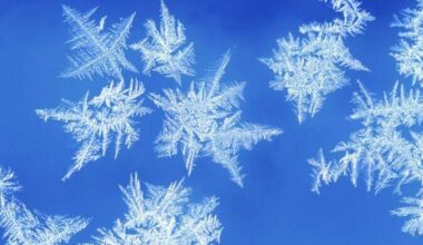 Environment Canada says there&rsquo;s potential for up to 5 centimetres of snow throughout the Lower Mainland Wednesday (March 11). (Black Press Files)