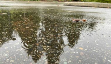 Environment Canada has issued a yellow rainfall warning, as an atmospheric river is forecast for most of the Lower Mainland through Wednesday morning. (March 18). (Anna Burns/Surrey Now-Leader file)