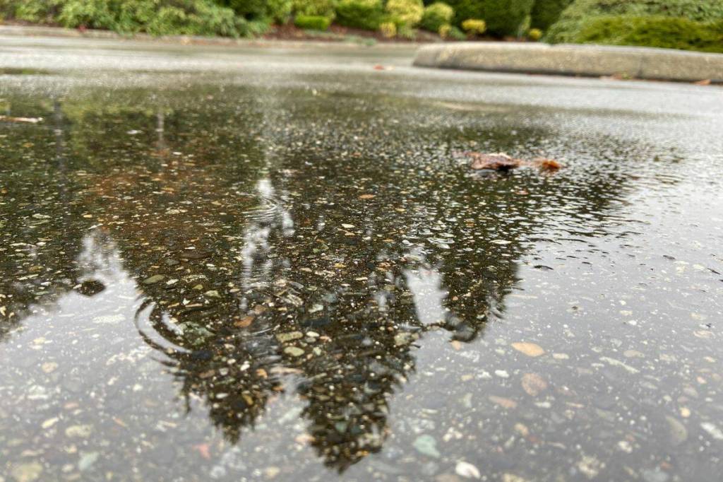 Environment Canada has issued a yellow rainfall warning, as an atmospheric river is forecast for most of the Lower Mainland through Wednesday morning. (March 18). (Anna Burns/Surrey Now-Leader file)
