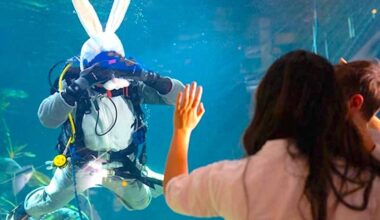 A Scuba Bunny dive at Vancouver Aquarium. (Contributed photo)