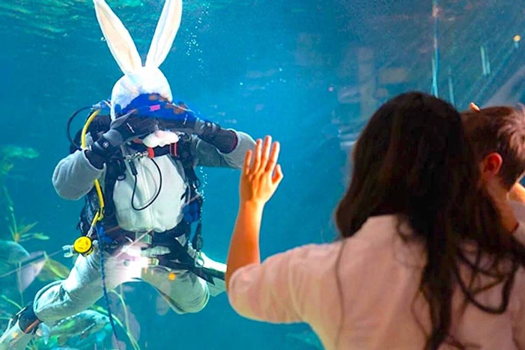 A Scuba Bunny dive at Vancouver Aquarium. (Contributed photo)