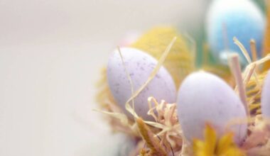 Peace Arch Hospital Auxiliary is holding its annual fundraising Bunny Hop event in White Rock on Good Friday (April 3). (Unsplash photo)