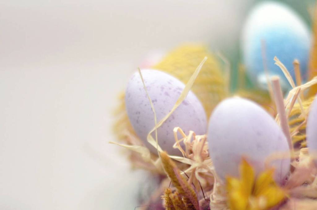 Peace Arch Hospital Auxiliary is holding its annual fundraising Bunny Hop event in White Rock on Good Friday (April 3). (Unsplash photo)