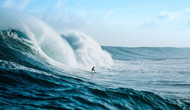 When People Never See Your App: Designing Brands for the Agentic Economy