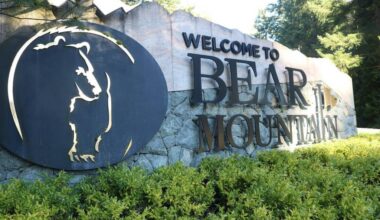 Acres of land within Langford&rsquo;s Bear Mountain resort has been sold. (Ben Fenlon/Goldstream Gazette)