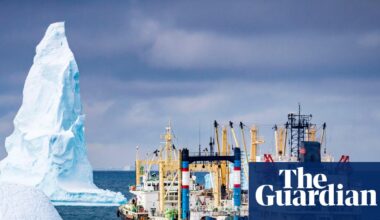 Antarctic whales’ remarkable comeback is threatened by krill fishing | Environment