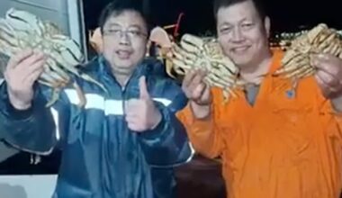 Sailors visiting Vancouver brag of catching hundreds of crabs, investigation underway