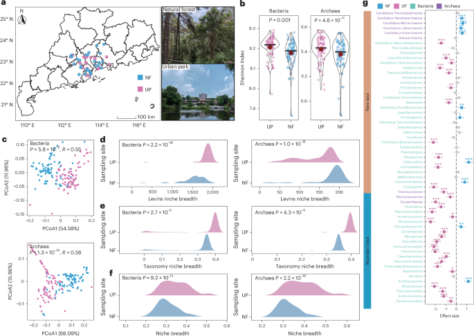 The trade-off between microbial functionality and evolutionary flexibility under urbanization