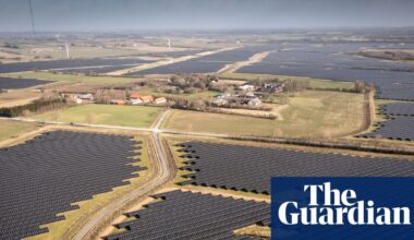 ‘Yes to fields of wheat, no to fields of iron’: how the world’s greenest country soured on solar | Denmark