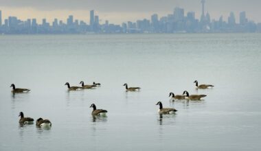 Toronto broke warm temperature record for March 7