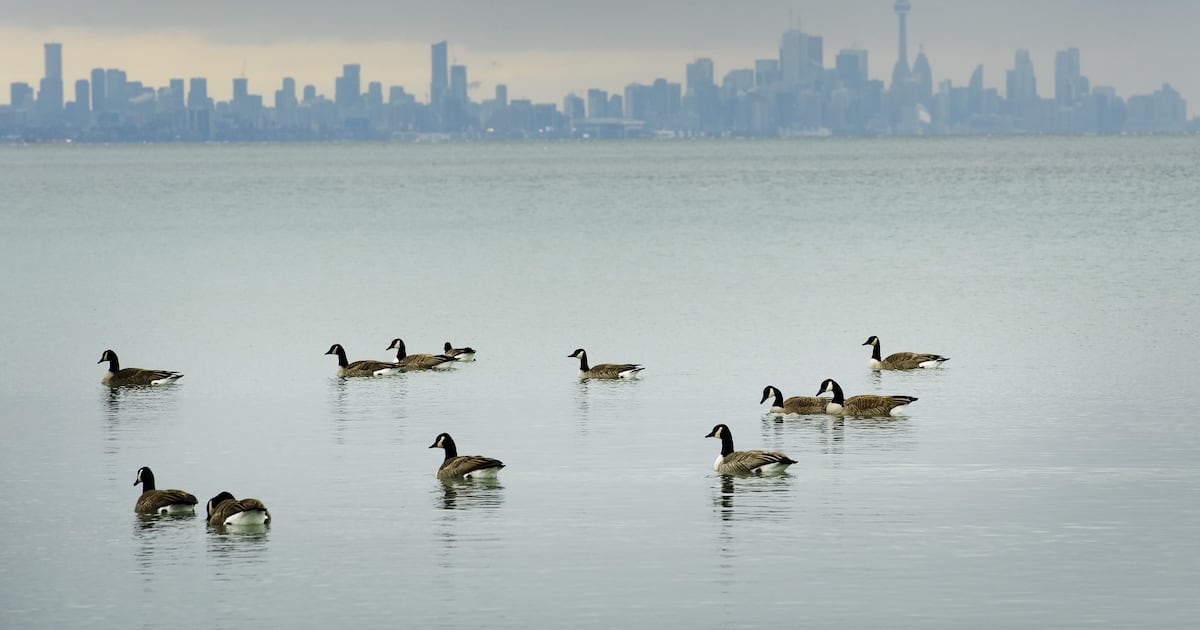 Toronto broke warm temperature record for March 7