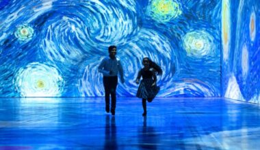 Multi-week, immersive Van Gogh experience to jolt Nanaimo’s economy | NanaimoNewsNOW