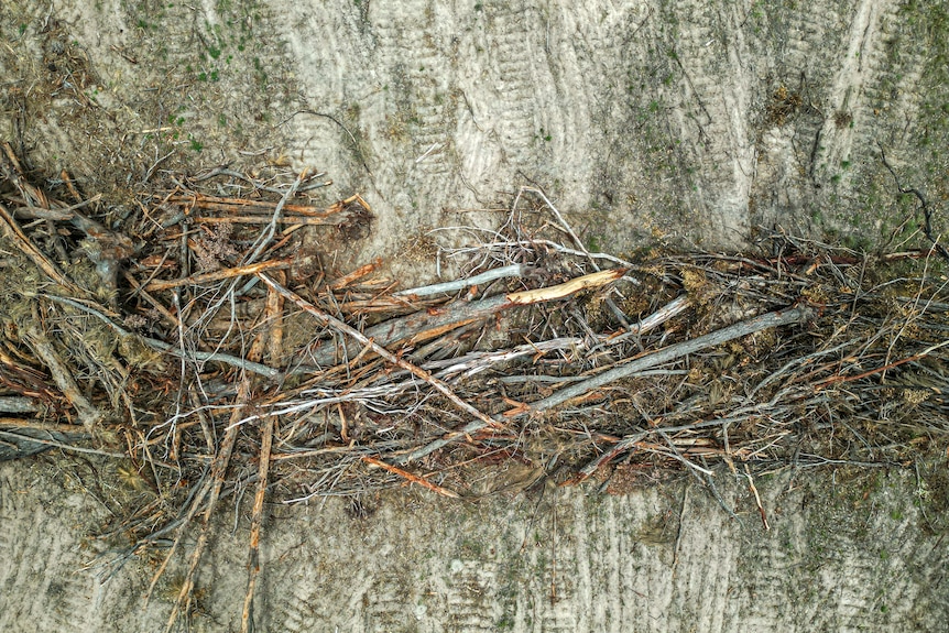 Warwick land cleared 2