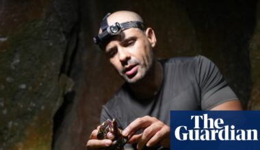 I discovered three new geckos in Cambodia’s limestone caves – and that’s not all we found | Cambodia
