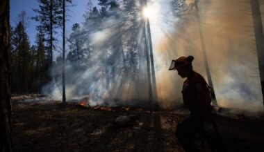 Canada’s wildland fire agencies want better masks to stop smoke. If only it were that easy