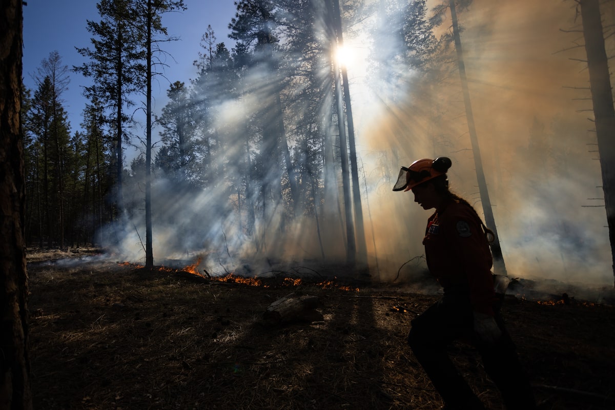 Canada’s wildland fire agencies want better masks to stop smoke. If only it were that easy