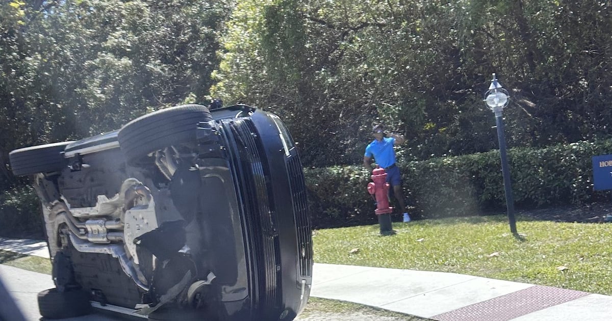 Tiger Woods told authorities he was looking at phone before crash