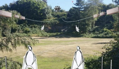 Vancouver park board considers zip line and canopy tree walk for Queen Elizabeth Park