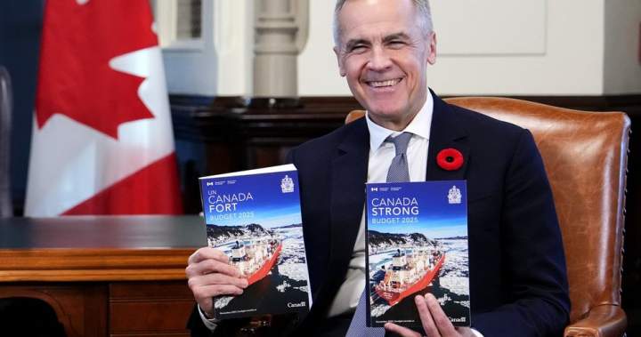 To chop spending, Ottawa will cut science, tourism, foreign aid programs - National