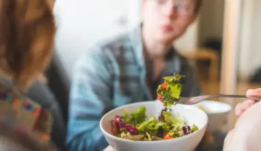 Nutrition Insight logo