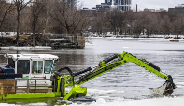 Ottawa's tell-tale sign for long-awaited springtime isn't what you think