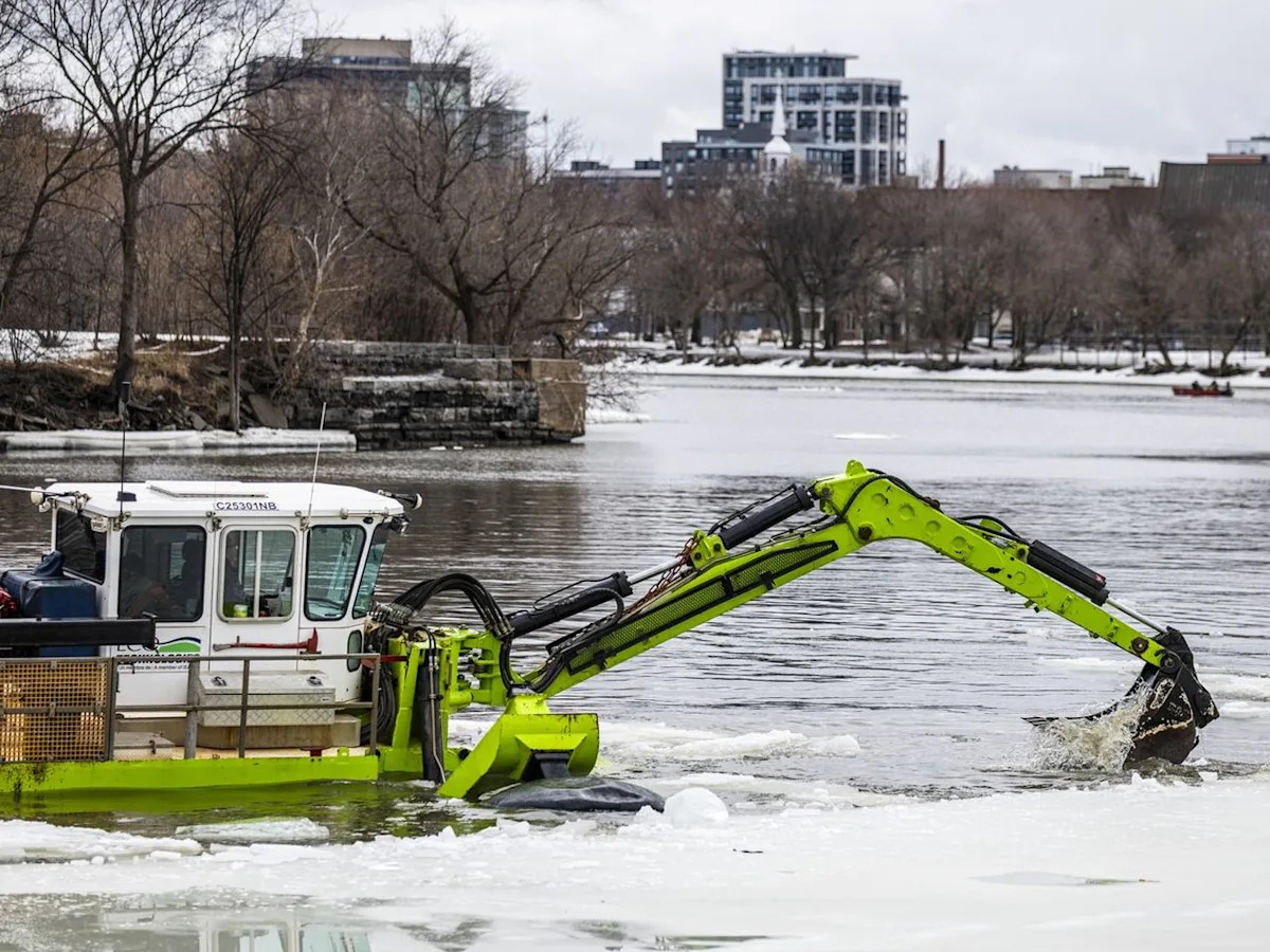 Ottawa's tell-tale sign for long-awaited springtime isn't what you think