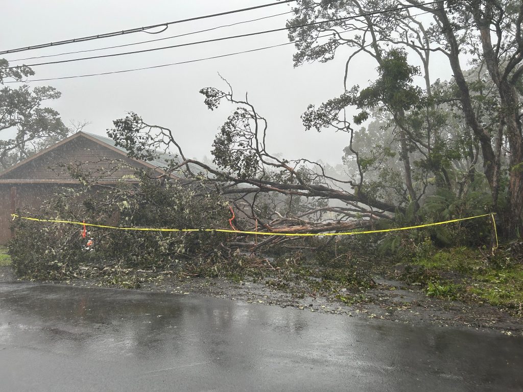 What you need to know about the Kona low Monday on Big Island: Weather conditions, debris slow efforts to restore power : Big Island Now