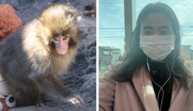 She Visited Punch, the Viral Baby Monkey, in a Japanese Zoo