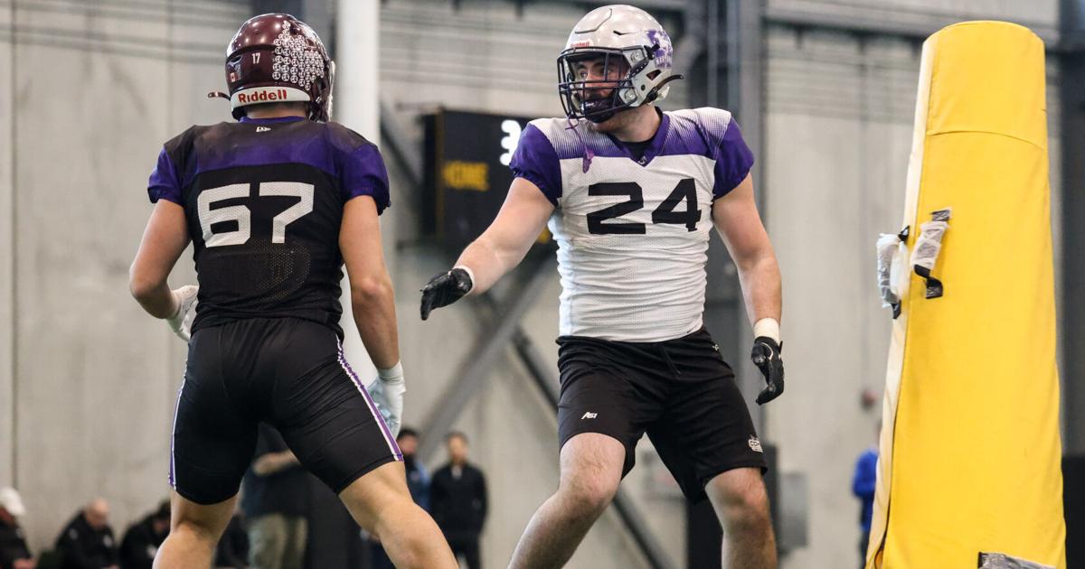 Mustangs measure up at CFL combine, despite no invitations extended | Sports