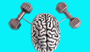 Your brain can be trained, much like your muscles; a neurologist explains how to boost your brain health - Citizen Tribune
