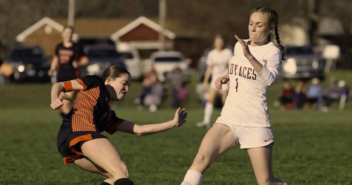 Lady Tigers top Mt. Carmel in soccer action 7-0 | Local Sports