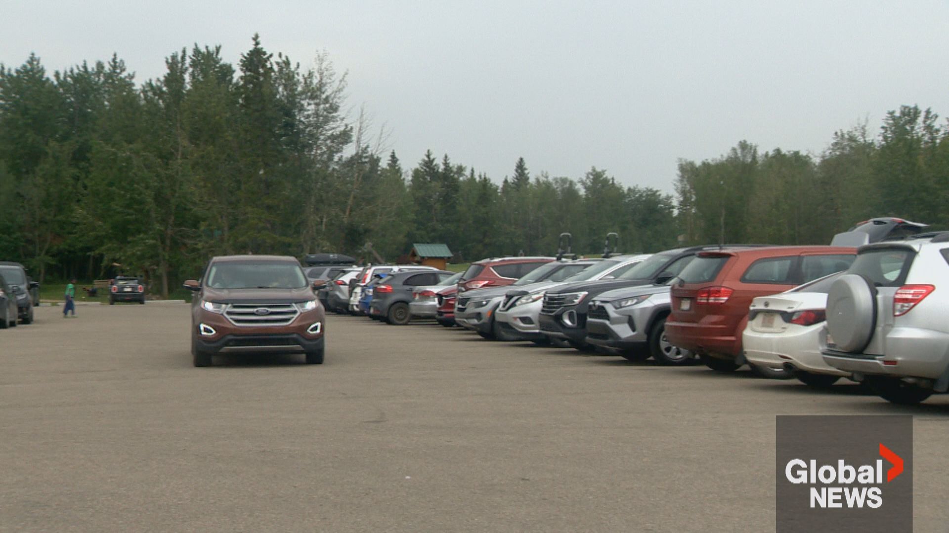 Click to play video: '‘Very busy’: Elk Island National Park exceeding capacity due to pass program'