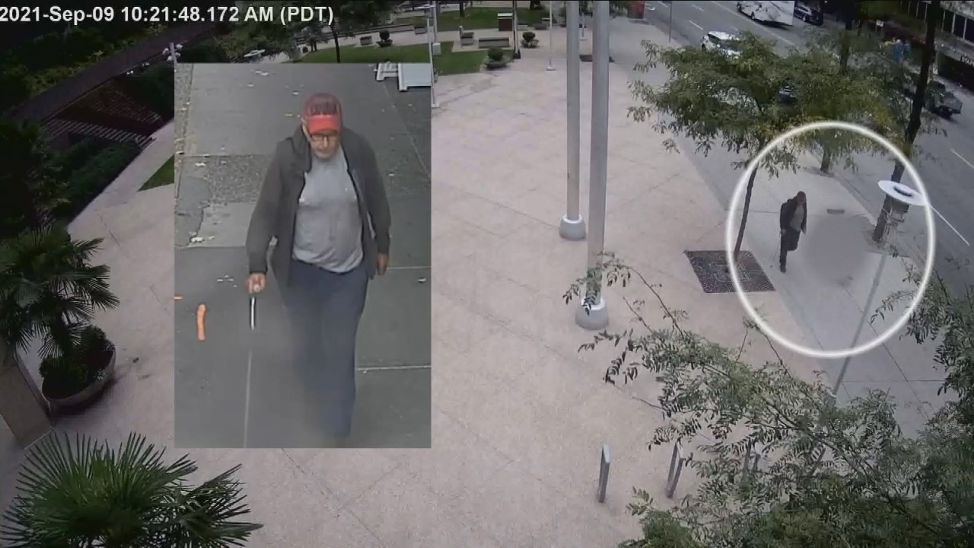 Click to play video: 'Crown applies for dangerous offender declaration for man who attacked senior'