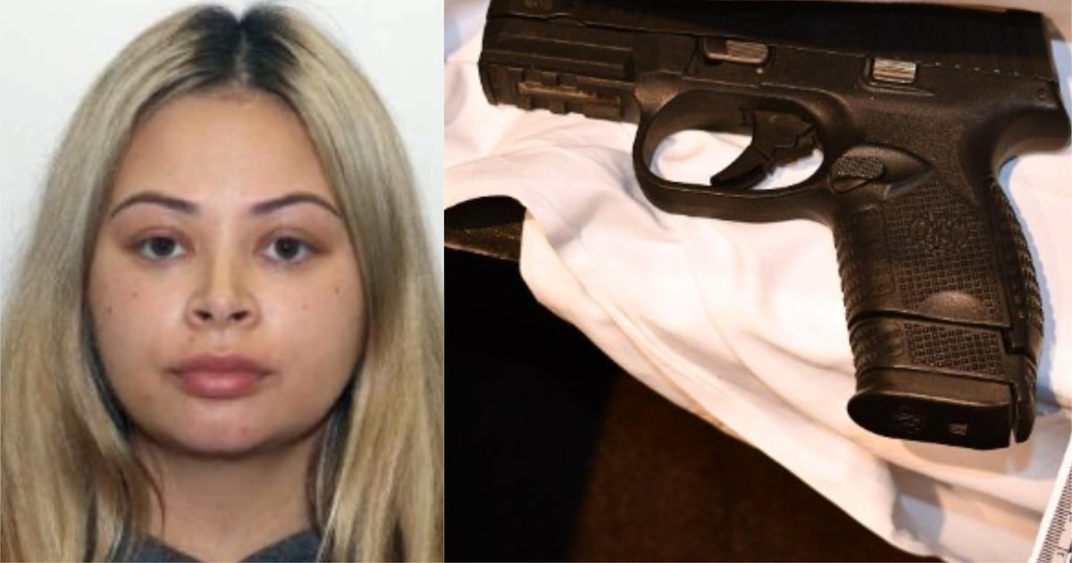 London woman at-large after gun found at Toronto hotel, Mississauga man charged